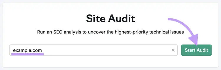 Site Audit's search function