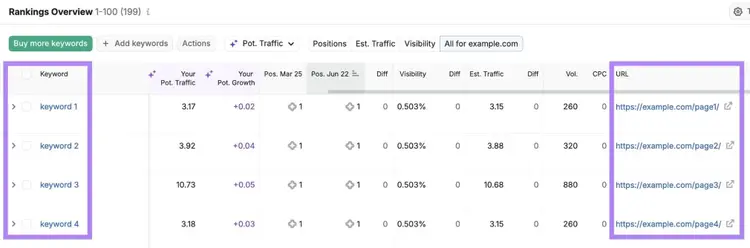 Rankings Overview on Position Tracking with the "Keyword" and "URL" columns highlighted.