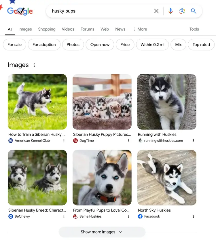 results for husky pups shows image pack serp feature. we see six different images of husky puppies pulled from various sites.