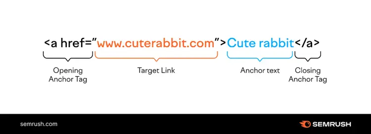 diagram of anchor text shows <a href= as the opening anchor tag, www.cuterabbit.com as the target link, Cute rabbit as the anchor text, and </a> as the closing anchor tag