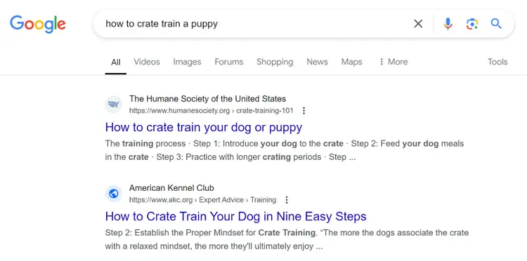 Google SERP for 'how to crate train a puppy'