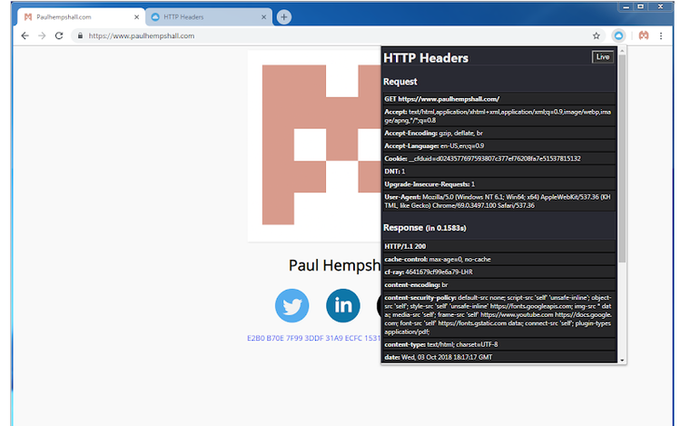 HTTP Headers extension showing request headers for website diagnostics