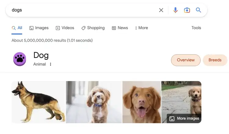 Google search results for dogs showing 5 billion results and dog knowledge card