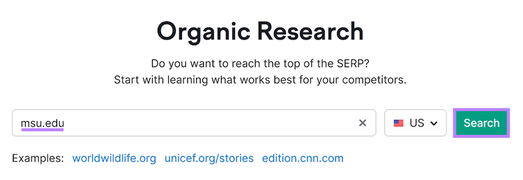 Organic Rankings tool start with domain entered and Search button highlighted.