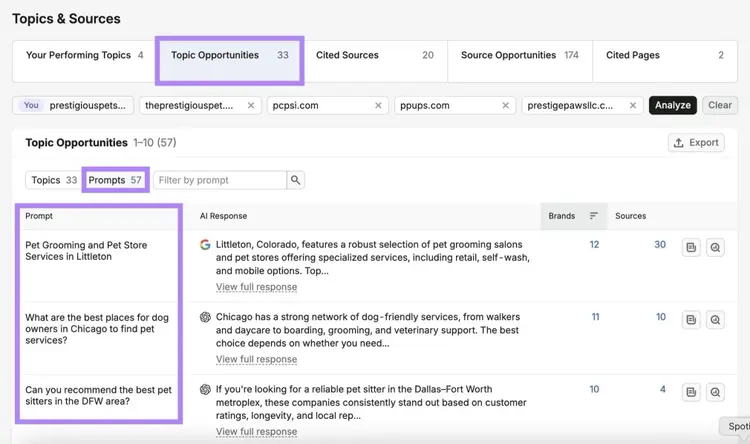 "Topic Opportunities" with "Prompts" selected showing a list of prompts featuring competitors.