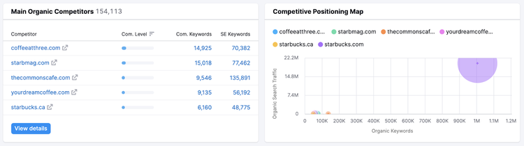 "Main Organic Competitors" and "Competitive Positioning Map" sections in Domain Overview