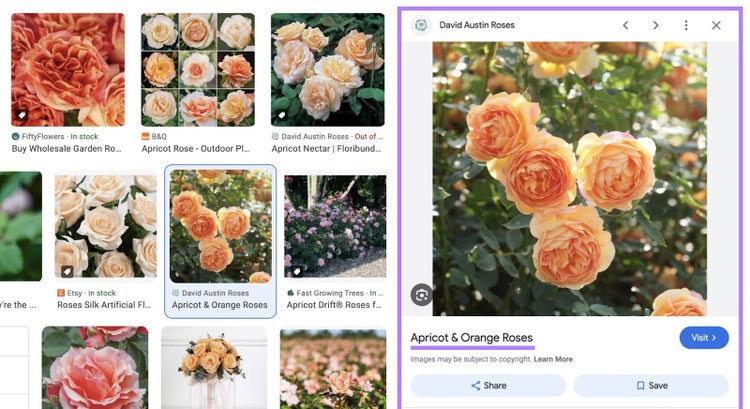 expanded google image result of a rose shows the title tag