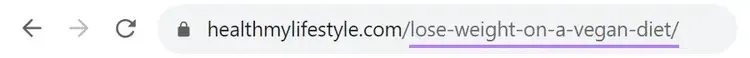 An optimized URL slug with the last part of the URL containing the target keyword.