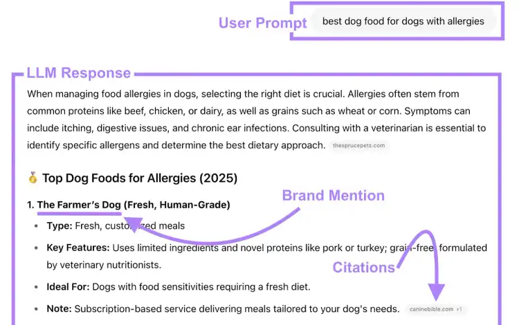ChatGPT conversation is labeled with the user prompt, LLM response, brand mention, and citations.