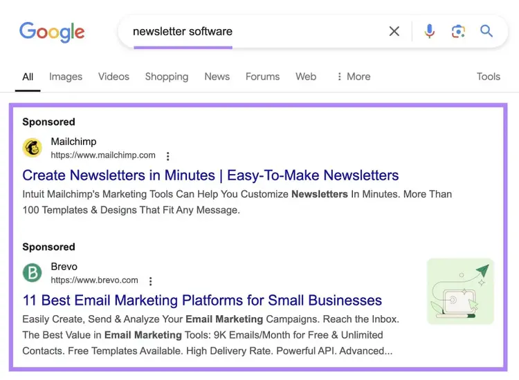 Google SERP with the term "newsletter software" entered and two sponsored results at the top highlighted.