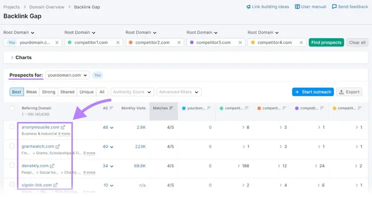 A list of backlink opportunities in the Backlink Gap tool