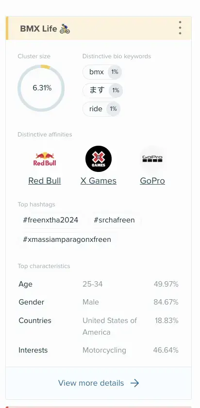 BMX Life cluster: 6.31% size, 84.67% male, age 25-34, USA