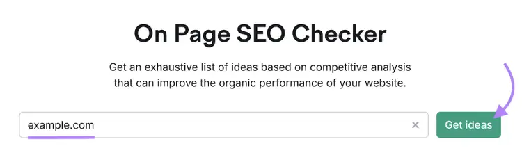 domain is entered into the on page seo checker tool