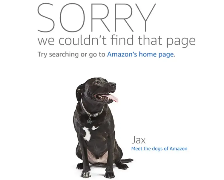 Amazon's 404 error page that reads "Sorry we couldn't find that page. Try searching or go to Amazon's home page." with an image of a dog