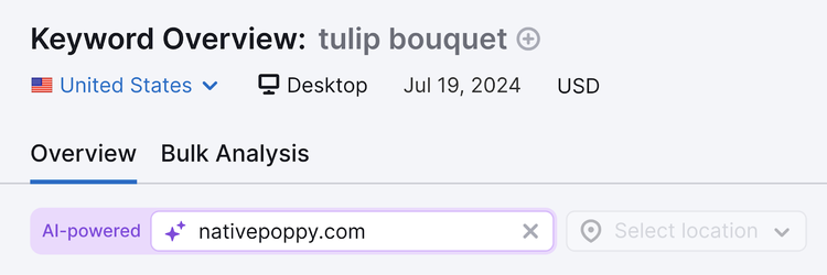 domain entered into keyword overview