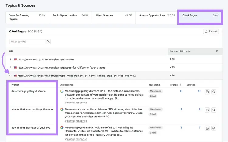Cited Pages on Topics & Sources with a page expanded to show the prompts that led to citations.