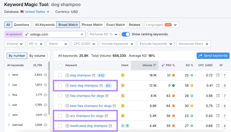 Broad match keyword list shows close variants of the seed keyword