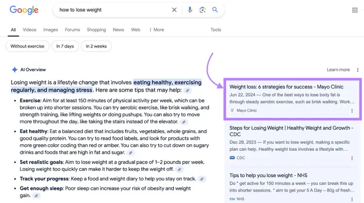 ai overview serp feature shows this domain ranks highly on google
