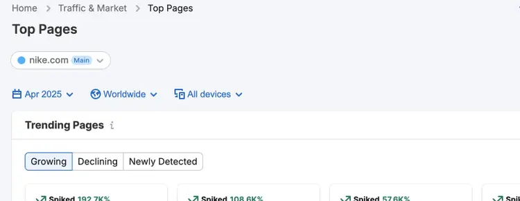 Top Pages dashboard header for Nike showing filter options and tabs for page status categories