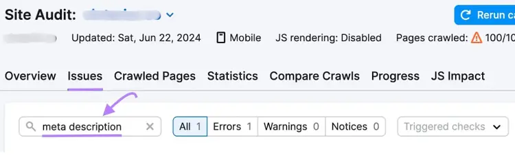 Site Audit Issues tab searching for meta description with filter buttons