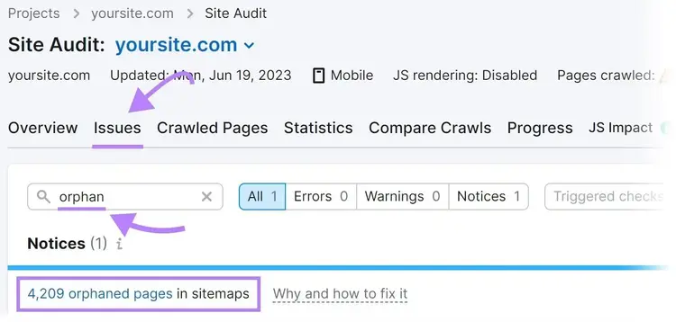 “Issues” tab with “orphan” search