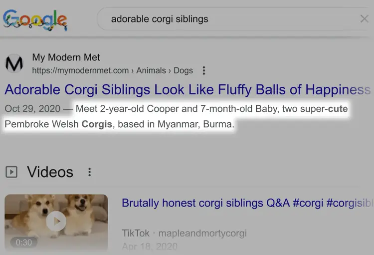 A meta description on Google's search engine results page (SERP)