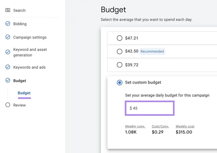 Budget settings on Google Ads with "Set custom budget" selected and an amount entered.