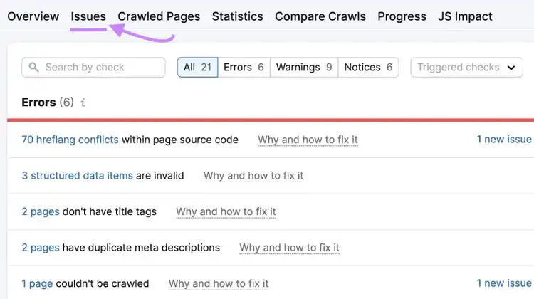 A list of "Issues" found in Site Audit