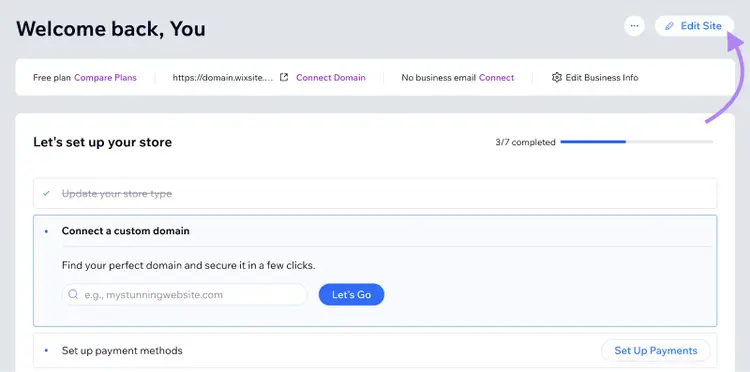 Wix dashboard showing store setup with domain connection and payment method configuration steps