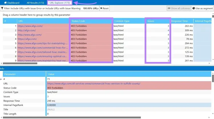 URL Explorer on Netpeak Spider with the status code and issues columns highlighted.