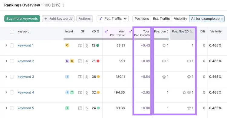 Rankings Overview on the Position Tracking tool with the "Positions" and "Your Potential Growth" columns highlighted.
