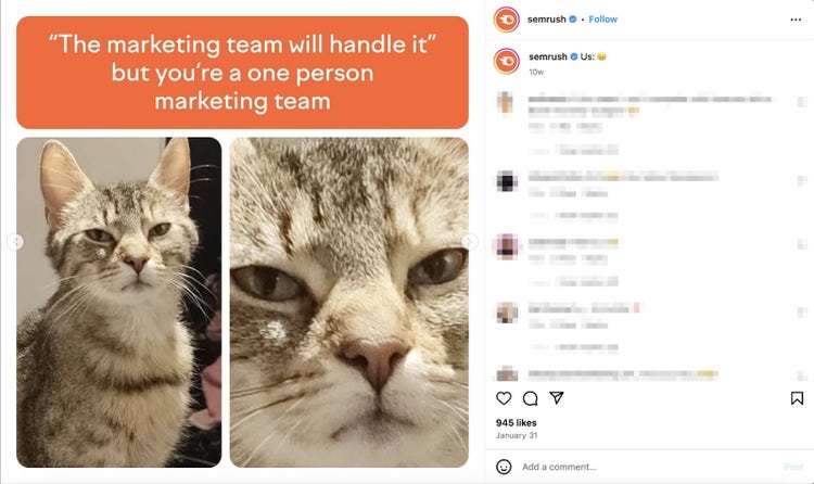 Semrush instagram post with a stoic, slightly upset cat with the caption "The marketing team will handle it. But your a one person marketing team"