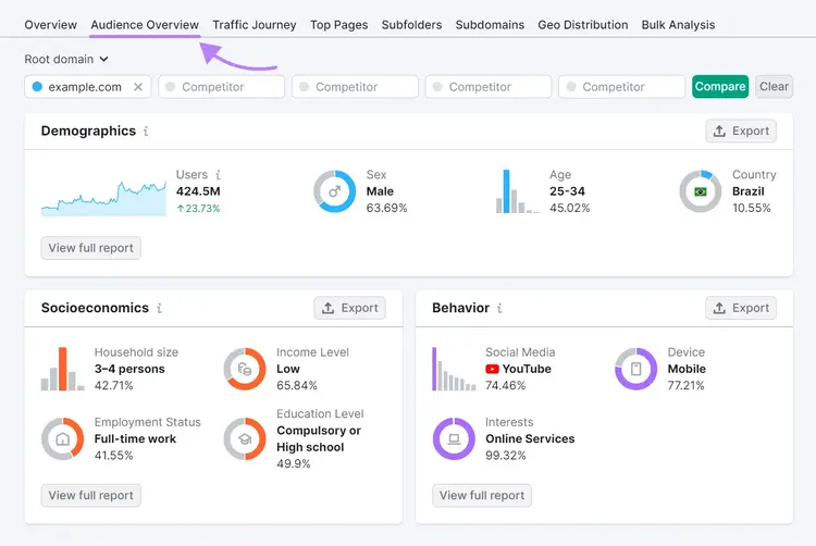 An Audience Overview dashboard