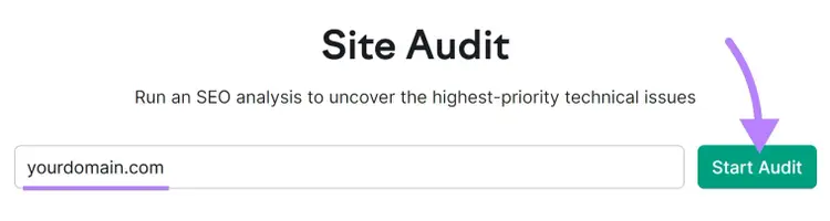 Site Audit search bar