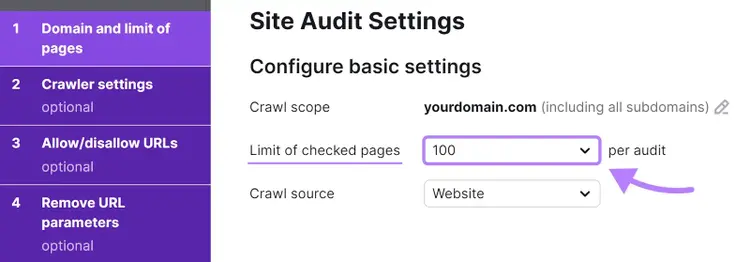 "100" pages set next to “Limit of checked pages” box