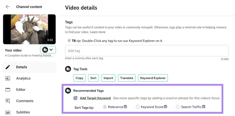 "Recommended Tags" by TubeBuddy highlighted on the "Details" tab for a video on YouTube.