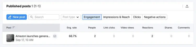 "Published posts" on Facebook section
