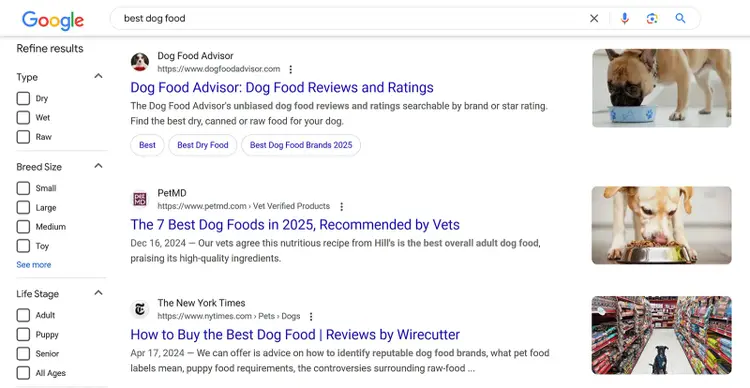 Google search results for 'best dog food'