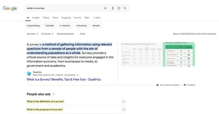 Google search results for what is a survey query