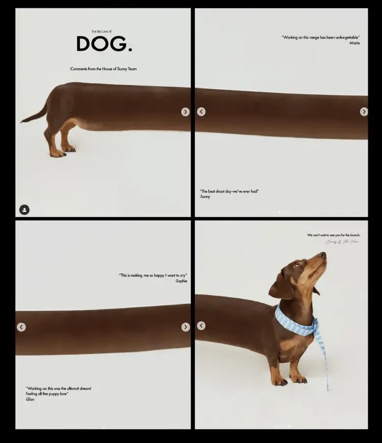House of Sunny carousel ad featuring sausage dog stretched across four slides