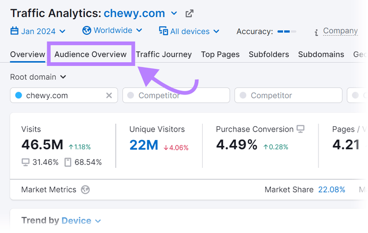 "Audience Overview" tab highlighted in Traffic Analytics tool