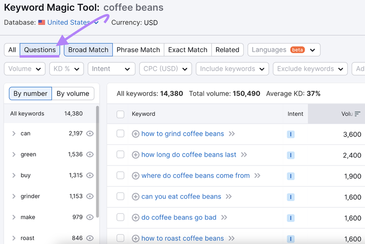 "Questions" tab Keyword Magic Tool report