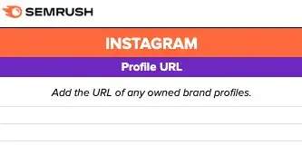 “Profile URL” column of social media audit template