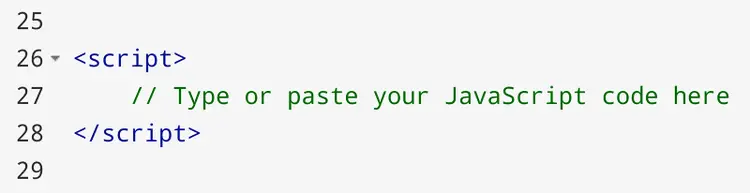 Script tags with placeholder comment for typing or pasting JavaScript code.