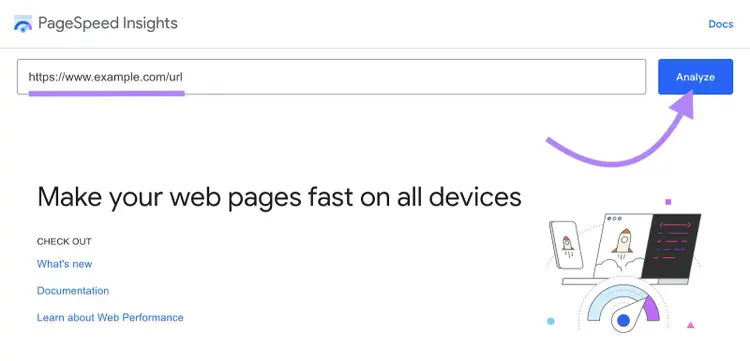 PageSpeed Insights tool with URL input field and Analyze button for web performance testing
