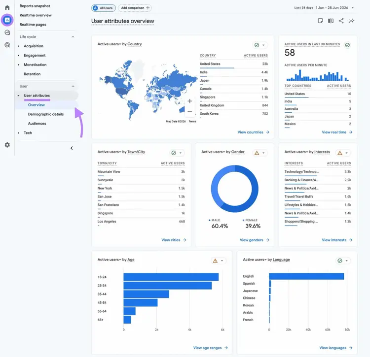 User attributes overview report on GA4 showing audience data like age, gender, location, interests, and language.
