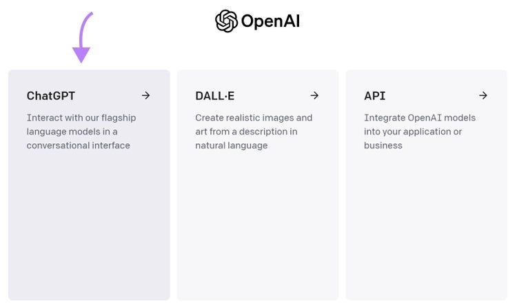 Platform options screen from OpenAI