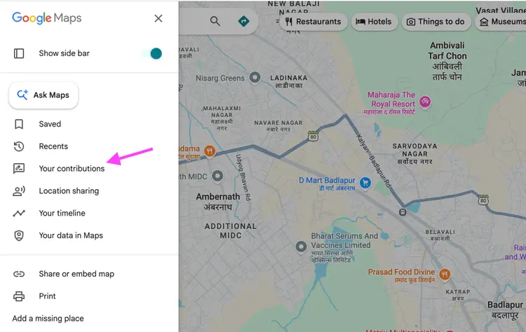 Google Maps menu section