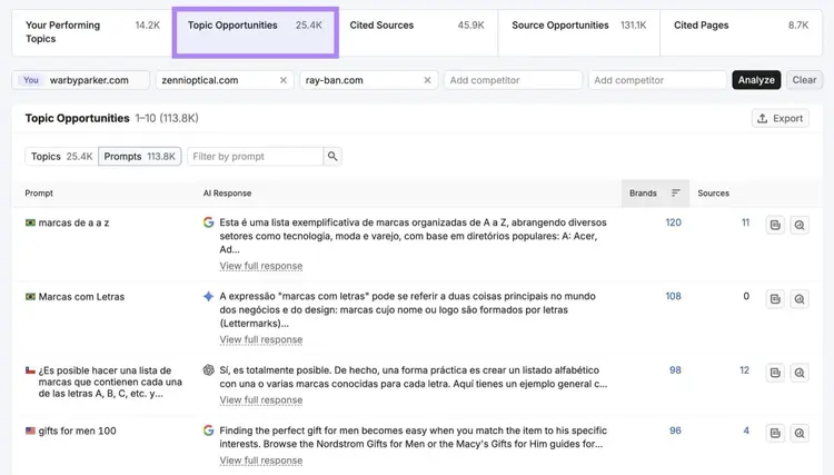 Topics & Sources on Visibility Overview with the "Topic Opportunities" tab selected.