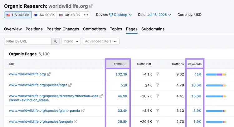 The Pages report has traffic and keyword metrics for each URL.